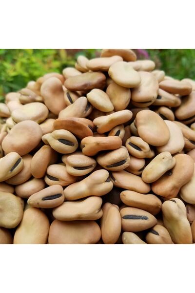 naturalköyürünleri Kuru Bakla 500 Gr