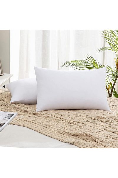 ephes 2 Pieces Pillowsoft Rectangular Throw Pillow Inner Pillow