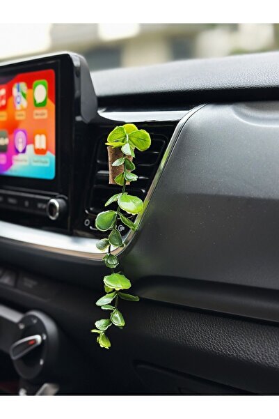 Plantarrium Design Oto Aksesuar/Koku-Yapay Okaliptus