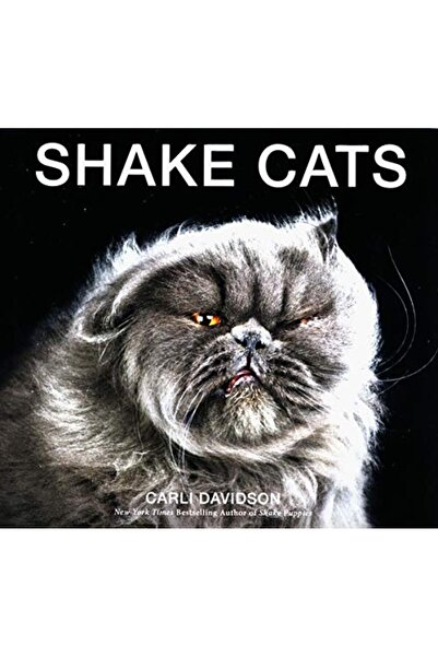 Harper Collins هز القطط