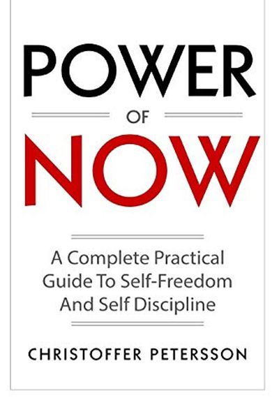 Ingram Power Of Now