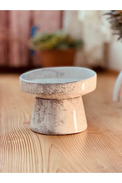 ALFO High Ceramic Inclined Food Bowl