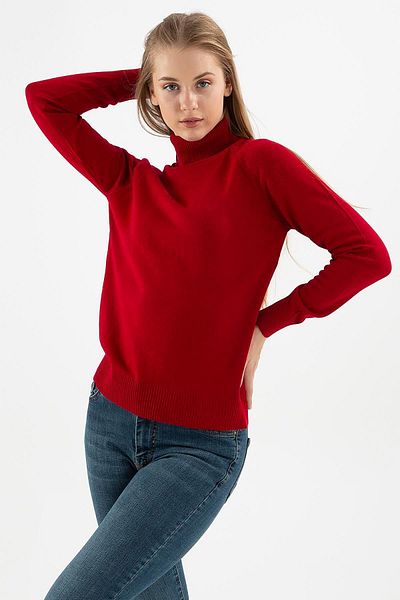 Fashion Friends Burgundy Turtleneck Sweater