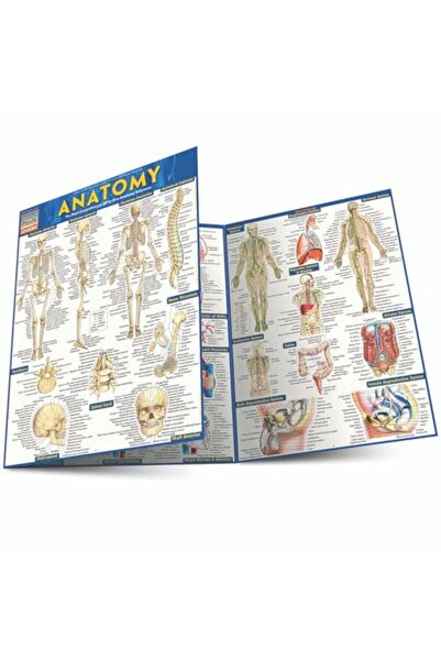 BarCharts دليل مرجعي في علم التشريح