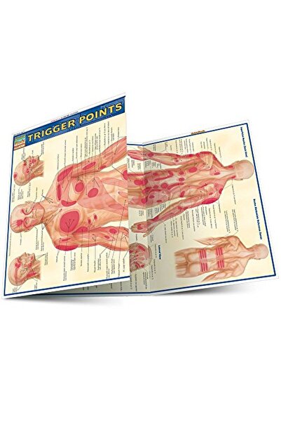 BarCharts Trigger Points