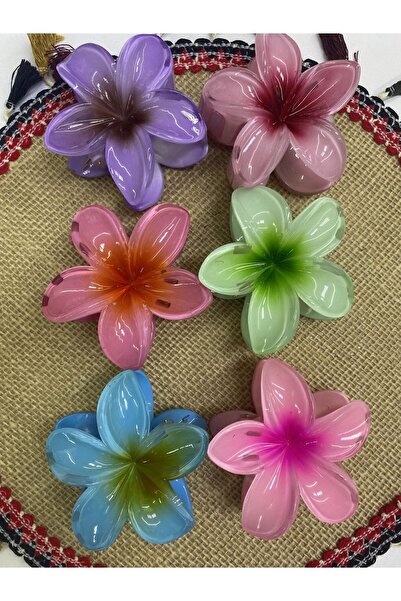 bijuterigamze 6’lı lotus çiçeği mandal toka 8 cm