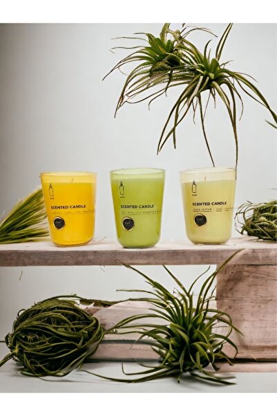 ROYAL MUM OUD-JASMİN - SOFT COTTON 3LÜ SET BARDAK MUM