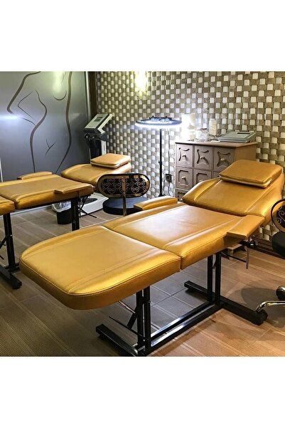 Ahm Cilt bakım sedyesi