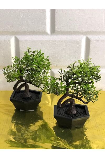 paris dünyası 2 شجرة صغيرة الحجم