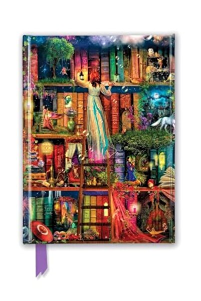 Hachette أرفف كتب البحث عن الكنز لأيمي ستيوارت