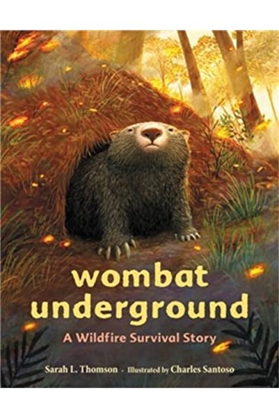 Hachette وومبات تحت الأرض