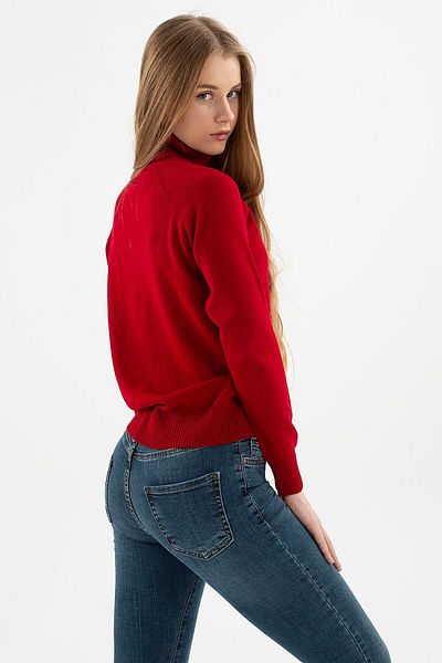 Fashion Friends Burgundy Turtleneck Sweater