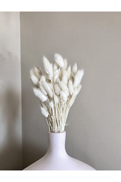 Moon Dizayn Iarbă de bumbac înfiorătă – Decor floral artificial, ornament de ...