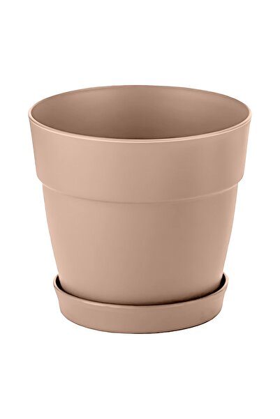 ToXA Mini 6cm 0.11 Litre Bej Mono Saksı Dekoratif Tabaklı Mat Çiçek Kaktüs Saksısı