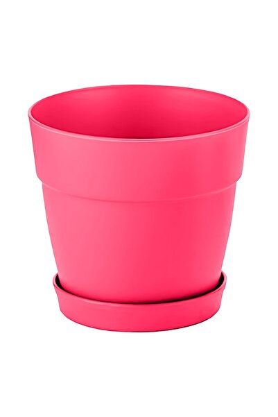 ToXA Mini 6cm 0.11 Litre Pembe Mono Saksı Dekoratif Tabaklı Mat Çiçek Kaktüs ...