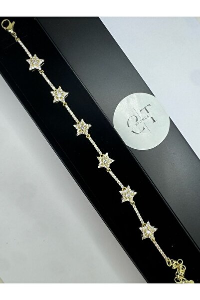 CT STONES Yıldızlı zirkon taşlı su yolu çelik bileklik