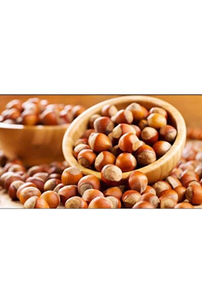 Genel Markalar 1kg Kabuklu Fındık