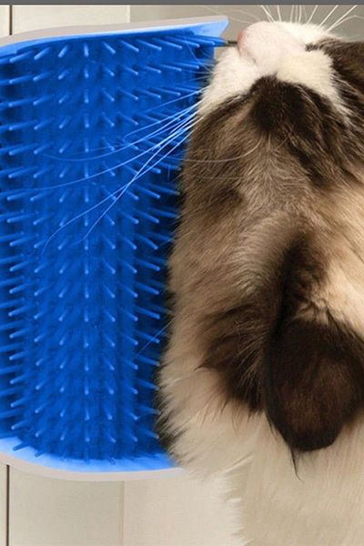 AfterTimes Cat It Practical Cat Feather Scratching and Crawling Apparatus, Wall-Mounted Practical Scratching Tool