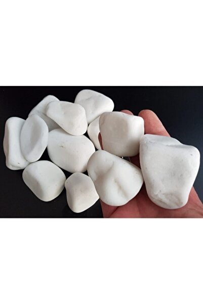 Doğalsan Tarım Beyaz Taş 10 Kg 4-6 Cm Beyaz Dolomit Taş Dere Taşı Çakıl Taşı Bahçe Süs Taşı Akvaryum Teraryum Taşı