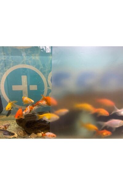 Genel Markalar Cam Kumlama Folyosu-buzlu Cam Filmi 75 Cm X 5 Mt