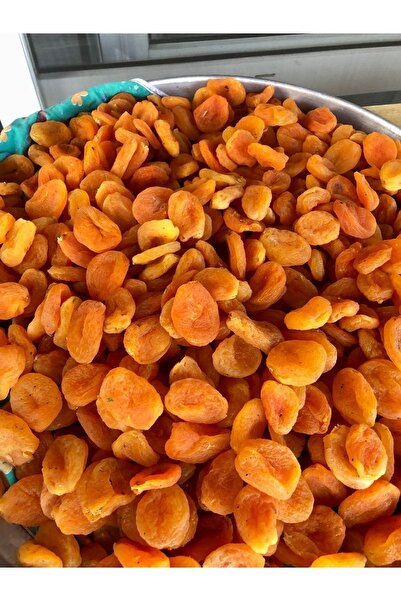 GÜNDOĞDU KAYISI Sarı Kayısı 1000gr