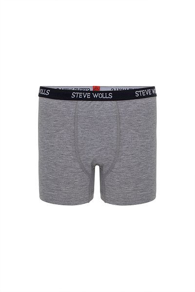Steve Wolls Gray 3-Piece Children's Boxers - 22001