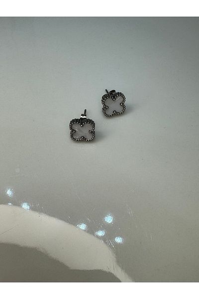 CT STONES Steel Earrings