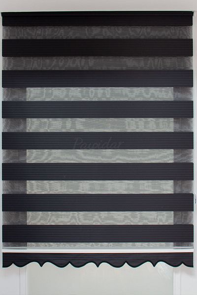 Payidar Zebra Roller Blind Pleated Black Skirt Sectional Blind