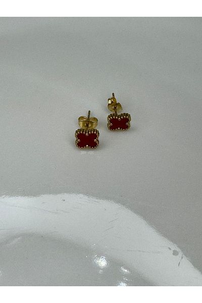 CT STONES Steel Earrings
