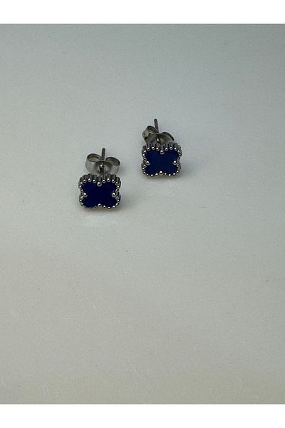 CT STONES Steel Earrings