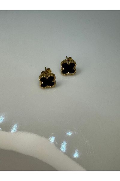 CT STONES Steel Earrings
