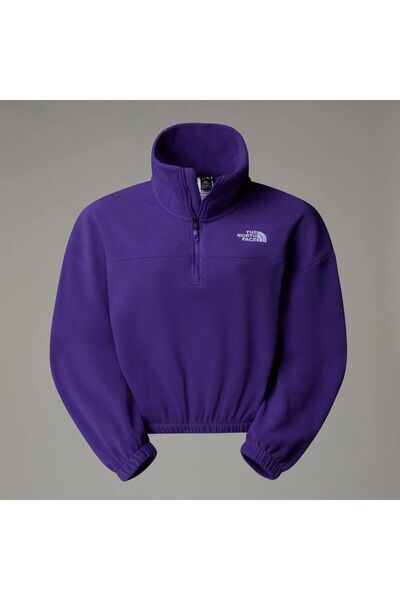 THE NORTH FACE W 100 Glacier Half Zip Fleece Kadın Polar Nf0a89j9nl41