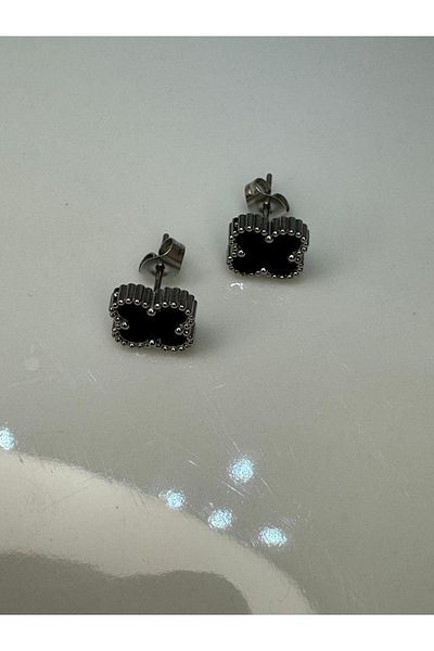 CT STONES Steel Earrings
