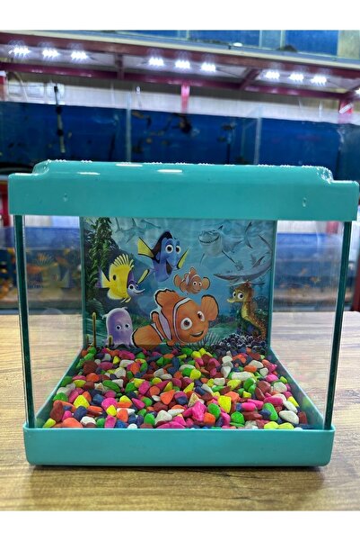 ErtargınShop Mavi Renkli Kare Mini Akvaryum 20x20x15