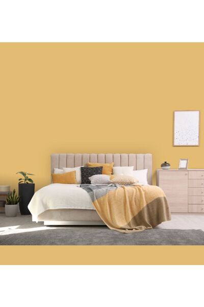 Filli Boya Momento Max Tam Silinebilir Ve Yıkanabilir Silikonlu Iç Cephe Boyası