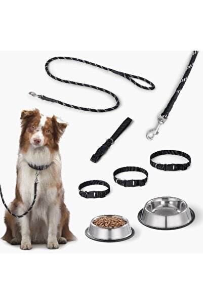 Home Box Canine Stainless Steel Pet Bowl - 2.5 L