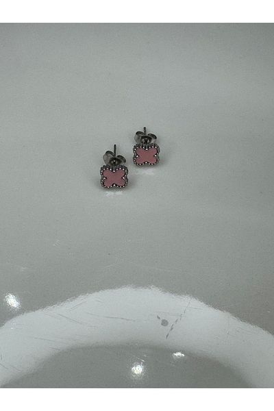 CT STONES Steel Earrings