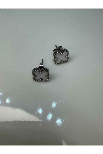 CT STONES Steel Earrings