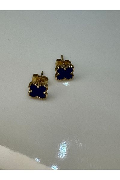 CT STONES Steel Earrings