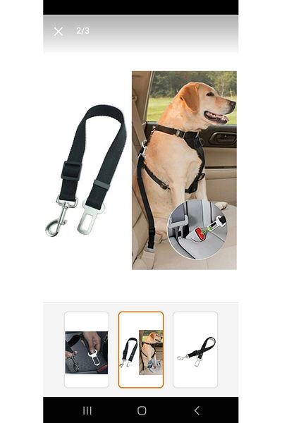 KediEviNet Dog Safety Belt Buckle Dog Walking Collar 2.5× 80cm