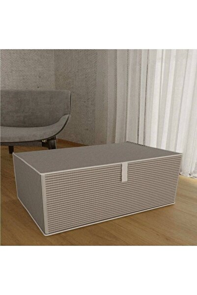 LarinHome 2 Adet Çok Amaçlı Düzenleyici Kutu Mega Boy 30cm X 40cm X 60cm Kapa...