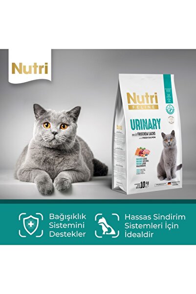 Nutri Feline Nutri Urinary /böbrek Sağlığı Destekleyici Somonlu Düşük Tahıllı Yetişkin Kedi Maması 2kg