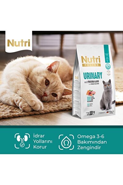 Nutri Feline Nutri Urinary /böbrek Sağlığı Destekleyici Somonlu Düşük Tahıllı Yetişkin Kedi Maması 2kg