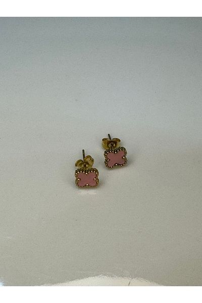 CT STONES Steel Earrings