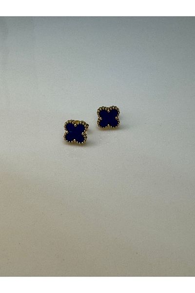 CT STONES Steel Earrings