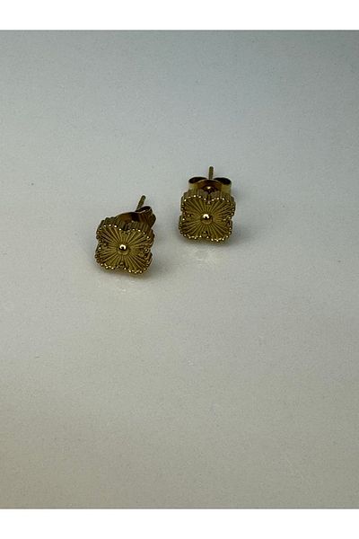CT STONES Steel Earrings