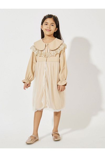 Styli Flower Lace Detail Front Mesh Knee Length Dress