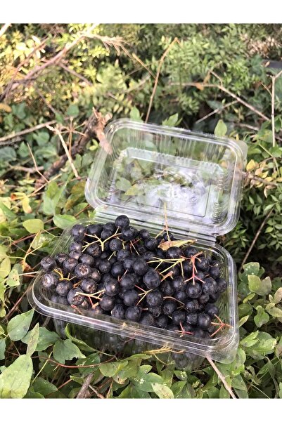 Marcel Aronya Tıbbi ve Aromatik Aronya Meyvesi 0,5 Kg - Organik Sertifikalı Coğrafi Işaretli Yalova Aronyası