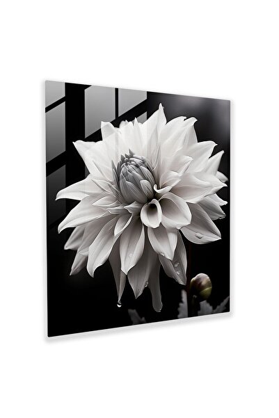 PaintedAnarchy Gray Blooming Beauty Glass Print, Grey, Glass Wall Art, Home D...