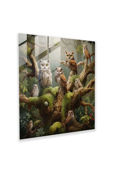 PaintedAnarchy Esrarengiz Cam Tablo - mistik baykuş bilgelik cam duvar sanatı